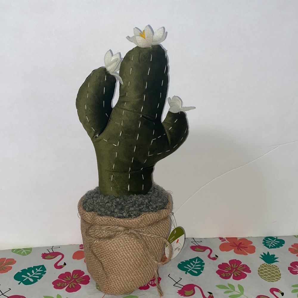 Debi Lily Cactus Door Stopper. $10 per cactus, 3 remaining!  All 3 for $25!